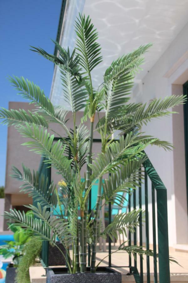 Olive View Villa Vila Nova da Barquinha Ngoại thất bức ảnh